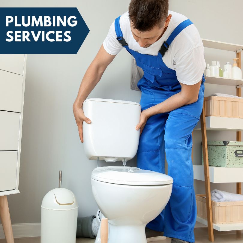 Plumbing Company in Burt, MI